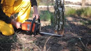 Best Aeration Services  in Oriska, NY