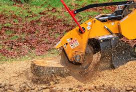 Oriskany, NY Tree Removal Company